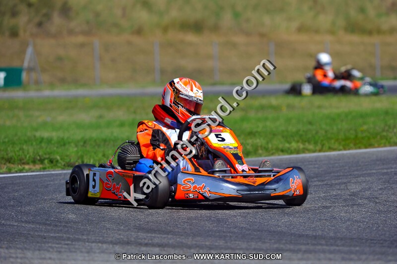 DSC_ (1325).jpg